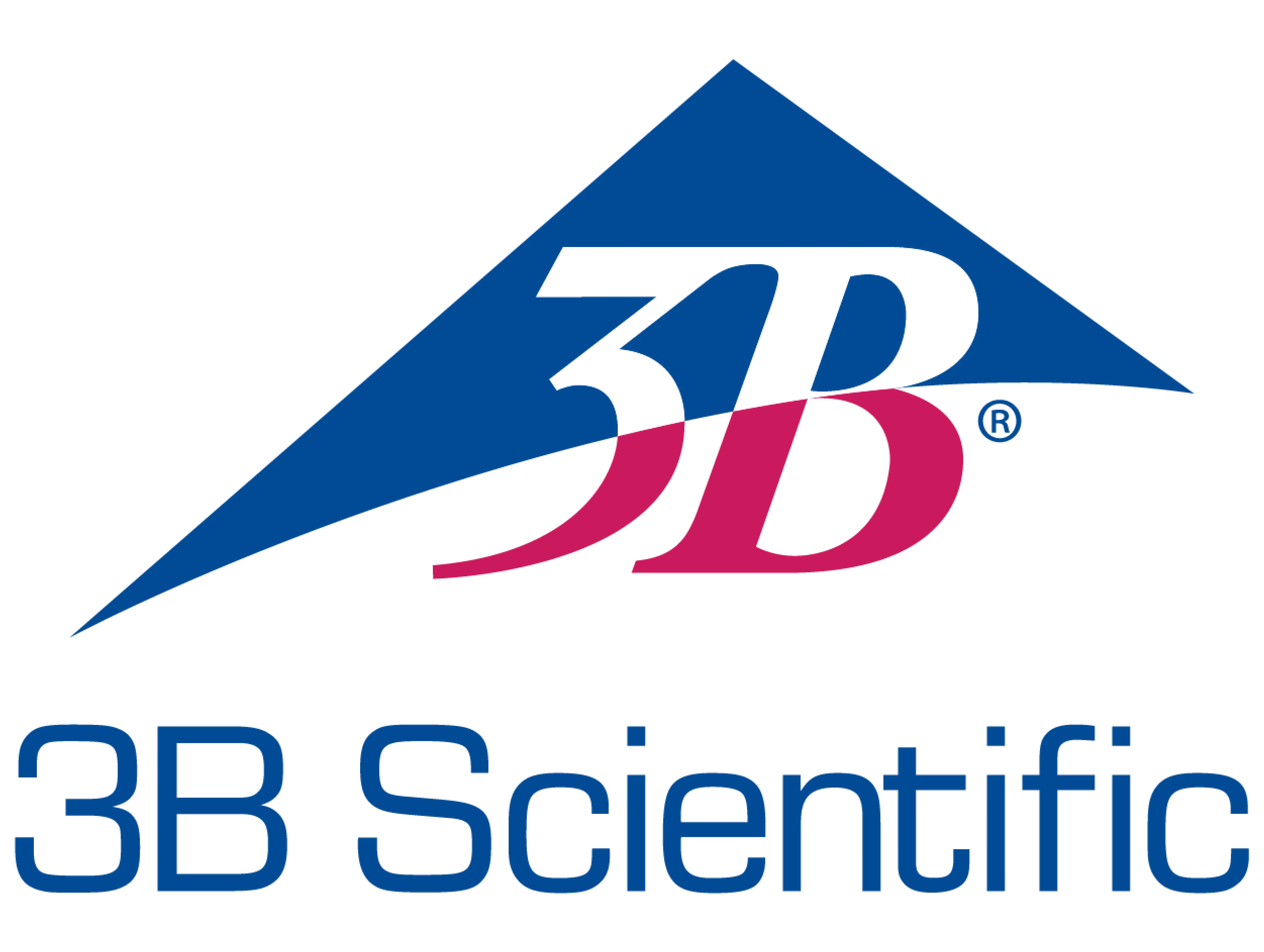 3b