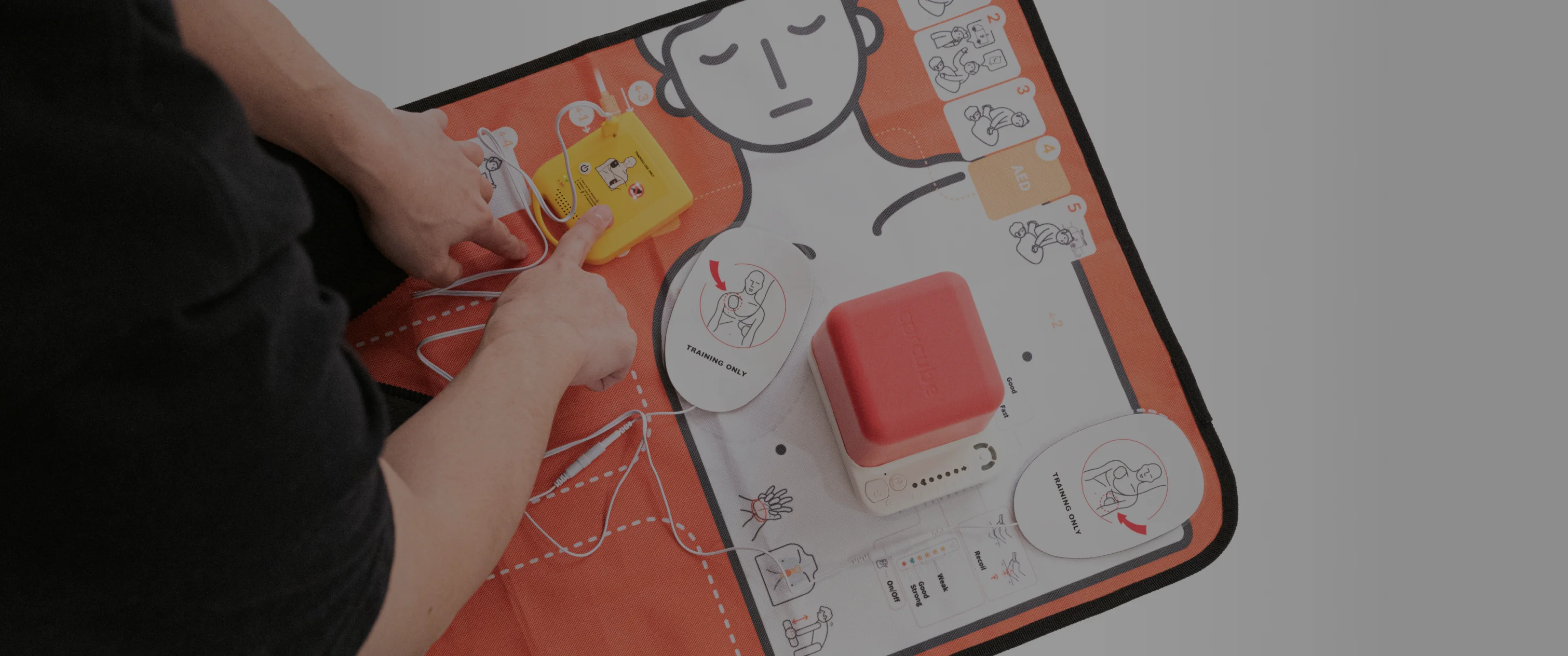 Main Background Image